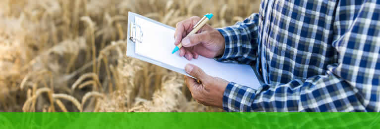 Empresa especializada em gestao agropecuaria Brazsoft