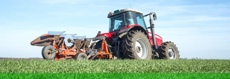 Entenda como software para fazenda potencializa a gestão rural