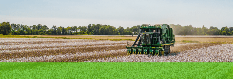 Facilite a administração de sua fazenda com nosso programa de gerenciamento